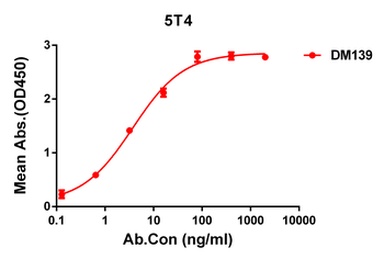 5T4 Antibody