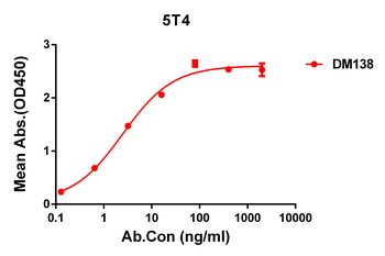 5T4 Antibody