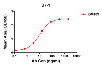 B7-1 Antibody