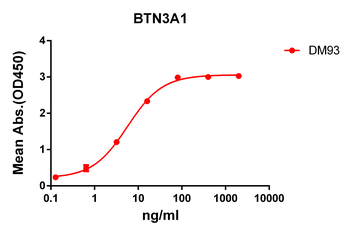 BTN3A1 Antibody