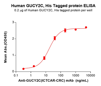 Human CD19 Protein, mFc Tag