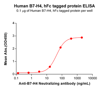 Human ITGA2 Protein, His Tag