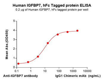 Human IFNAR2 Protein, hFc Tag