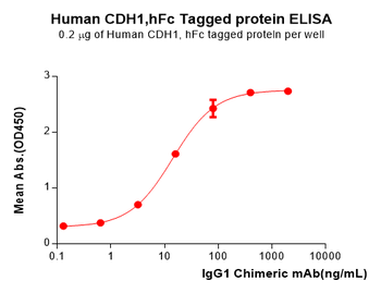 Human CD4 Protein, hFc Tag