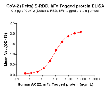 Human KIR2DL2 Protein, hFc Tag