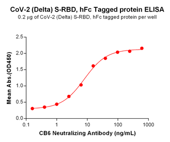 Human KIR2DL2 Protein, hFc Tag