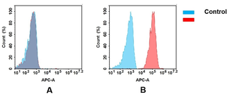 TFRC Biosimilar Antibody