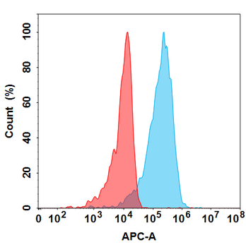 NRP1 Biosimilar Antibody