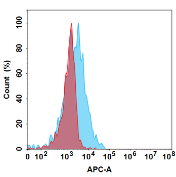 IL20 Biosimilar Antibody