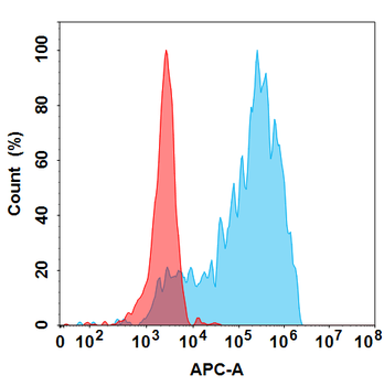 CCL2 Biosimilar Antibody