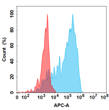 TSLP Biosimilar Antibody