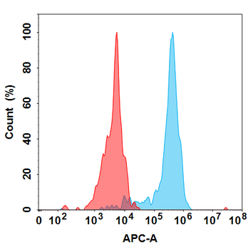 CCN2 Biosimilar Antibody