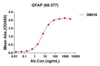 GFAP Antibody