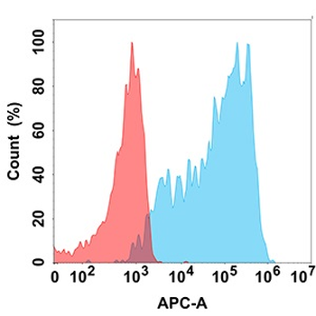 CXCR3 Antibody
