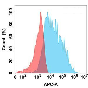 IFNAR1 Antibody
