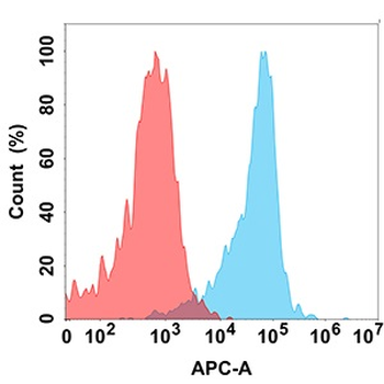 CD24 Antibody