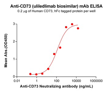 CD73 Biosimilar Antibody