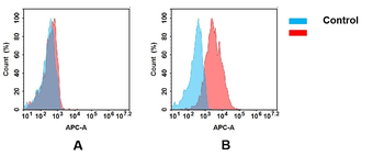 B7-H5 Biosimilar Antibody