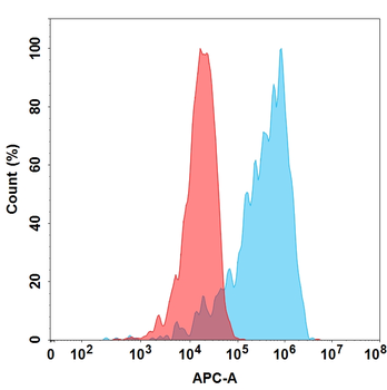 CD56 Biosimilar Antibody