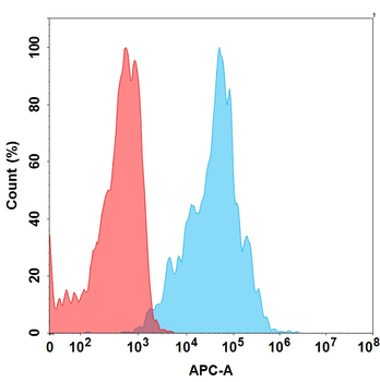CEACAM6 Biosimilar Antibody
