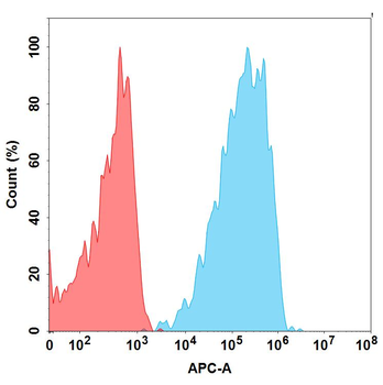 CD19 Biosimilar Antibody
