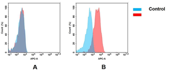 NECTIN4 Biosimilar Antibody