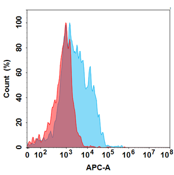 CLDN6 Biosimilar Antibody
