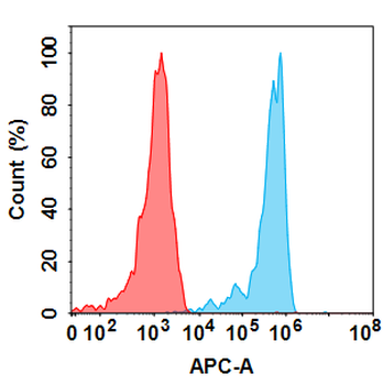 ENPP3 Biosimilar Antibody