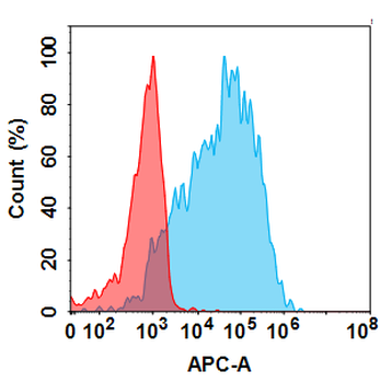 HTRA1 Biosimilar Antibody