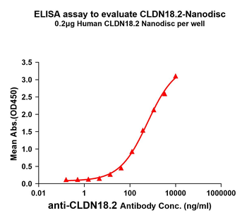 Human CLDN18.2 full length protein-synthetic nanodisc