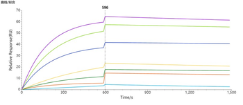 Human CLDN18.2 full length protein-synthetic nanodisc
