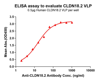 Human CLDN18.2 full length protein-VLP