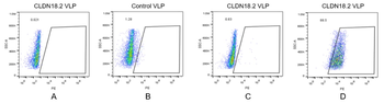 Human CLDN18.2 full length protein-VLP