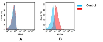 B7-H5 Antibody