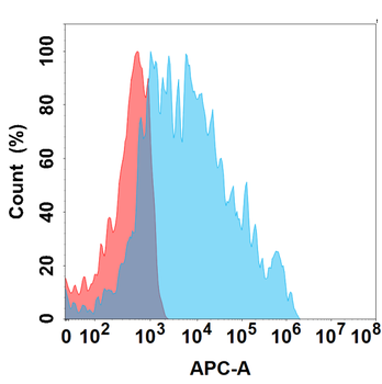 NKG2A Antibody