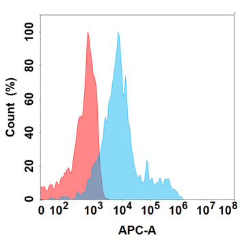 CCR4 Antibody