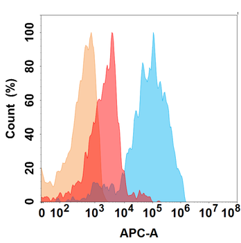 IL11RA Antibody