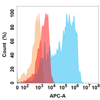 CD21 Antibody