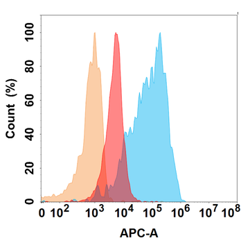 VEGFA Antibody