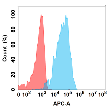 ALB Antibody