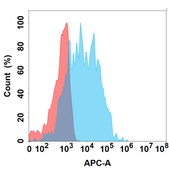 CD36 Antibody