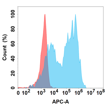 IL1B Antibody
