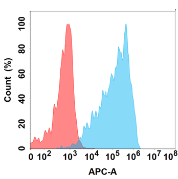 CD160 Antibody