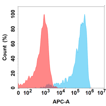VSIG4 Antibody