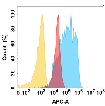VWF Antibody