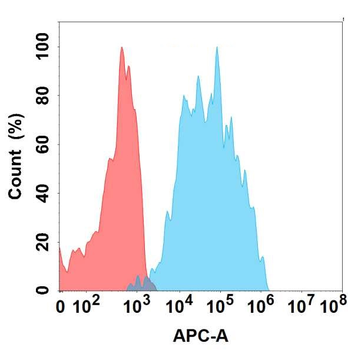 IL5RA Antibody