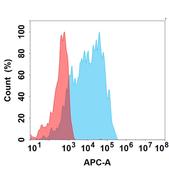 Human pro-Beta NGF Protein