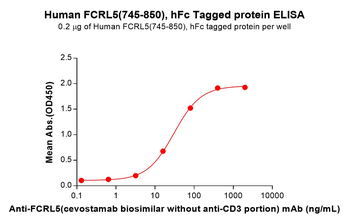 Human IL-37 Protein