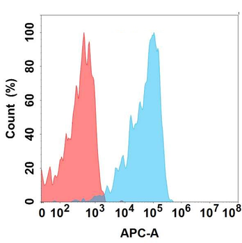MUC1 Antibody