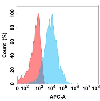 CRTAM Antibody